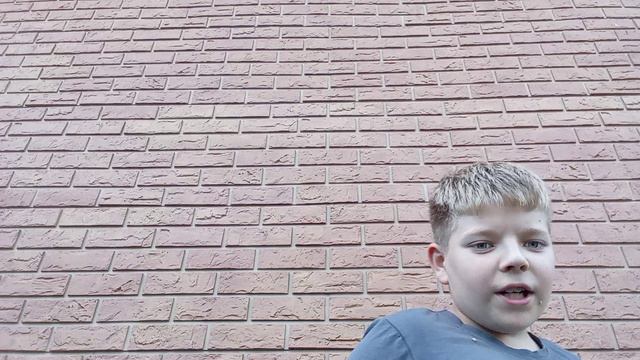 обзор дачи
