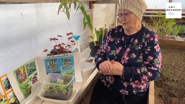 Оҕуруотчуттарга сүбэлэр (иккис чааһа). Биэрэһи хаһан, хайдах олордобут? смотреть онлайн