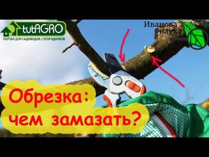 ОБРЕЗКА САДА БЕЗ ЛИШНИХ УСИЛИЙ. Чем замазать срезы после обрезки (и надо ли?).