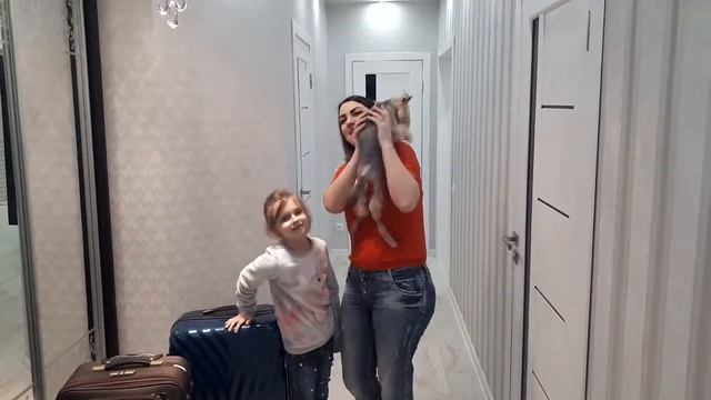 Собачка осталась одна? Что произошло? Dog vlog йоркширский терьер Буся