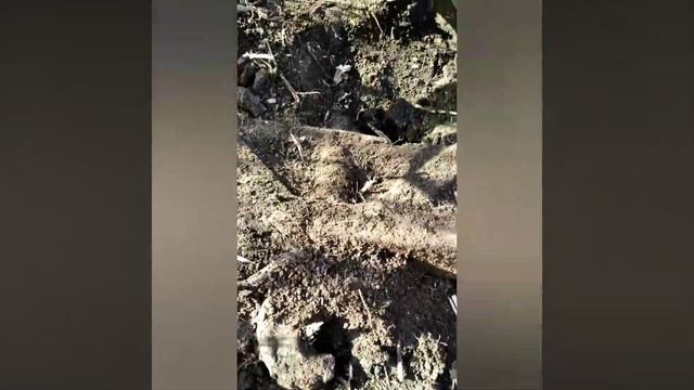 Металлоискатель "Пират" смотреть онлайн