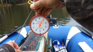 Осенняя щучка. Воблер от Bearking  VISION ONETEN 110 по мелководью и другие. Обзор рыбалки