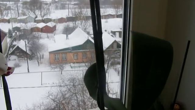 Орхидейная новость: "У меня распустилась пятнашка!" смотреть онлайн