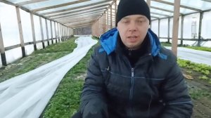 Простой парень едет на рынок продавать свою продукцию.  $$$.