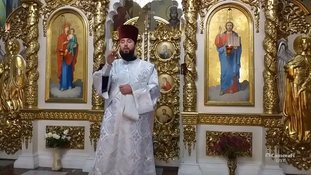 Дмитровская родительская суббота.04.11.2023