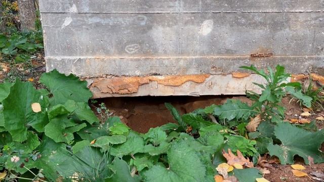 Реконструкция дома хай-тек смотреть онлайн