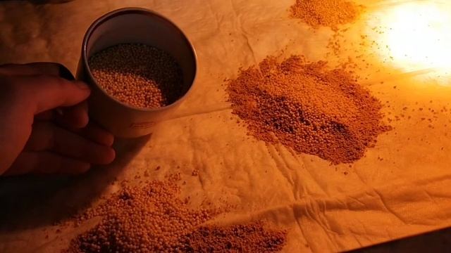 Чем кормить только что вылупившихся перепелят и цыплят