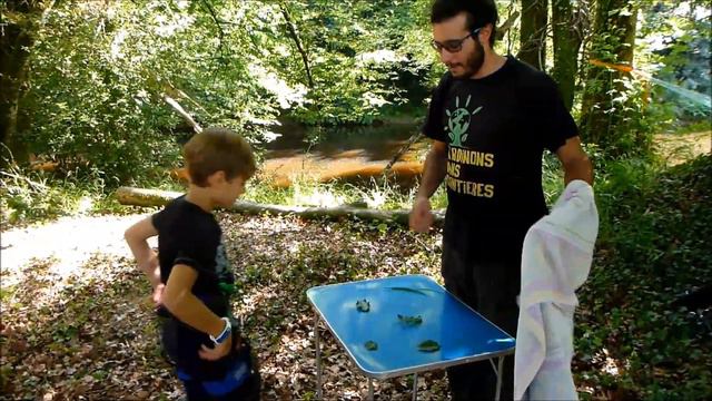 l'Arbre à Lutik - Camps d'été смотреть онлайн