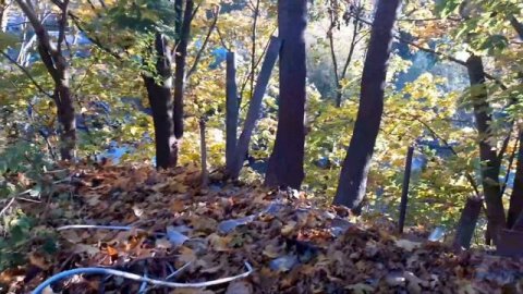 Купили старый дом!