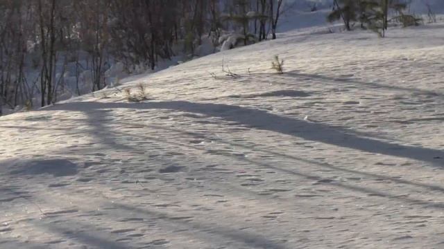 Как жители Шильды ратушу строили смотреть онлайн