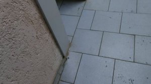 Лифты МЭЛ 2011 Q=400,630кг V=1м/с.по адресу:Грибовская 6