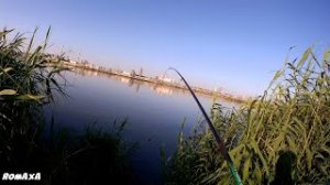 ПЛОТВА НА ФИДЕР. Рыбалка на озере
