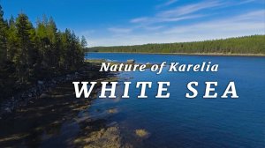 Природа Карелии - Белое море 🔹 Nature of Karelia - White Sea