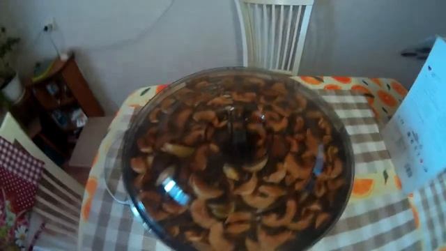 Ves electric. Обзор. Чудо-сушилка. Magic dryer. Модель: VMD-1. смотреть онлайн