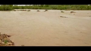 Потоп на западной Украине. Затопило дороги и дома!! Flood in Western