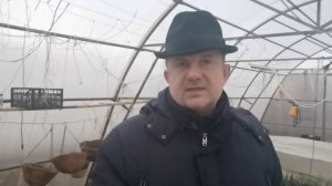 Как вырастить свои семена редьки, дайкона на приусадебном участке. Во всех подробностях с секретами