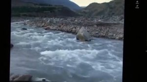 Махмадсаид зокири даштичум