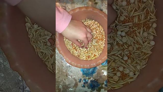 Как сделать корм для хомяка своими руками?По запросу моей сестры Кати смотреть онлайн