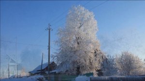 Кормовище и окрестности во все времена года