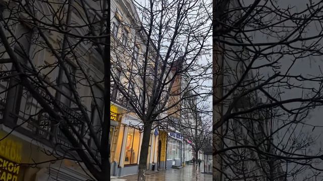 Мой замечательный город, Большая  Садовая, Ростов -на -Дону