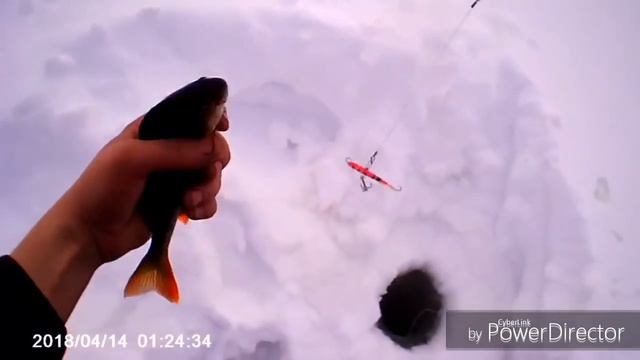 Ловим горбача..... и бонус.... смотреть онлайн