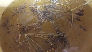 Очень вкусные маринованные помидоры с лимонной кислотой