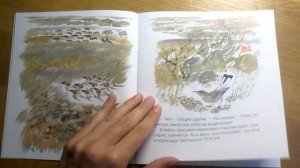 Каменка-плясунья