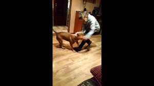 Стафард напал на ребенка