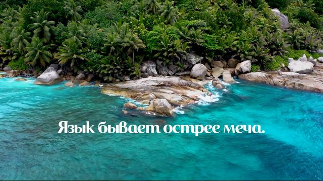 Цитаты Мудрого Турецкого Народа. НЕ ПРОПУСТИ!