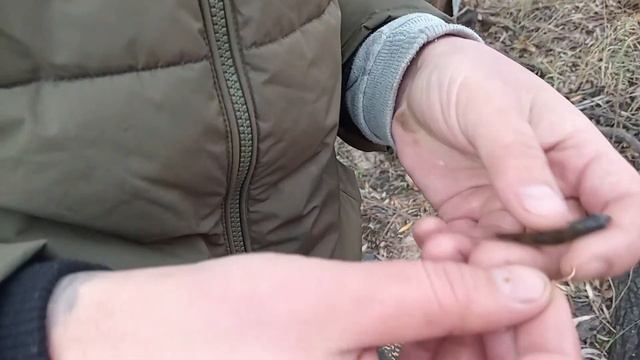 НЕВЕРОЯТНАЯ РЫБАЛКА НА ЖИВЦА ОСЕНЬЮ!!!ДЕДОВСКАЯ СНАСТЬ КОСИТ ЩУКУ!!ПОЧЕМУ Я ТАК РАНЬШЕ НЕ РЫБАЧИЛ?? смотреть онлайн