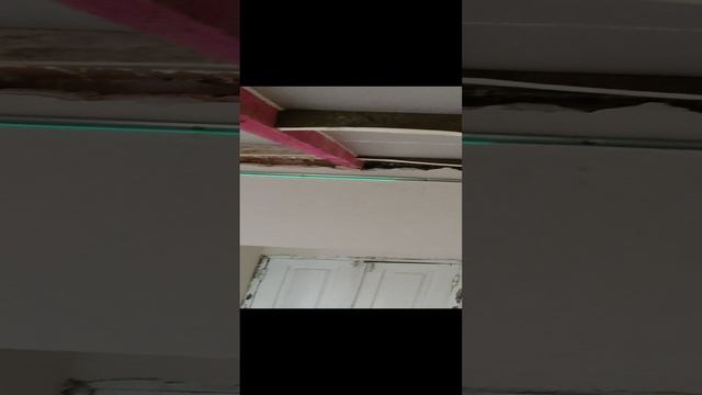 VID_20230107_142849.mp4