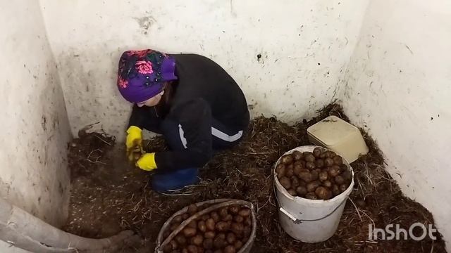 Работа в деревне весной. Убираем погреб. Заполняем компостный ящик. Белорусская деревня.