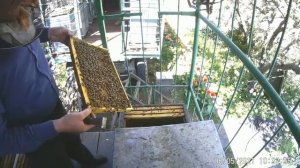 Постановка второго корпуса по принципу дупла.Как правильно расширять гнездо пчел весной.