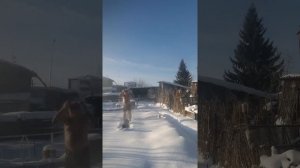 С ВОДОКРЕСОМ СЛАВЯНЕ!!!