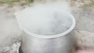 The simplest way to preserve grape leaves fresh for 12 months for the winter
