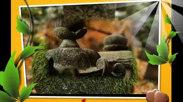 природа смотреть онлайн