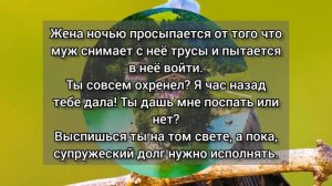 Девушка в купе пристаёт к парню Новый сборник анекдотов от Василича