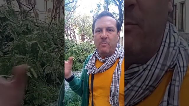 Horrible los estragos ocasionados por el temporal hoy en Jerez de la Frontera 22/10/23 смотреть онлайн