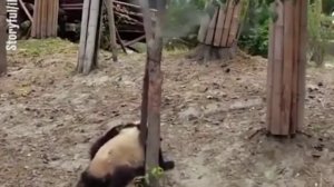 Это фиаско братан ?