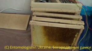 Архимандрит Отец Никодим: Богородичные рамки На Пасеке Богородичного Пчеловедения