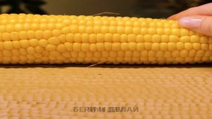 НЕВЕРОЯТНЫЕ ИДЕИ ИЗГОТОВЛЕНИЯ КЕРАМИКИ || КЕРАМИЧЕСКИЕ ПОДЕЛКИ РУЧНОЙ РАБОТЫ