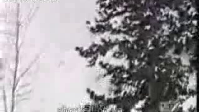 ШОКИРУЮЩЕЕ ВИДЕО !!!