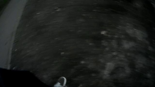 КОРМИМ БЕЗДОМНЫХ ЖИВОТНЫХ/ГДЕ ВСЕ БЕЗДОМНЫЕ ЖИВОТНЫЕ?! смотреть онлайн