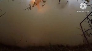 запуск мбр ярс (премьера)