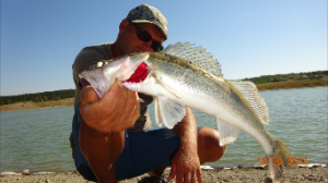 Судак Щука Окунь на живца лето.2019.