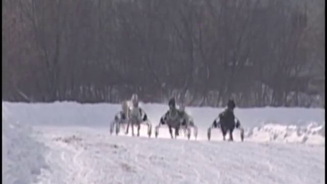 Орловский рысак - достояние России смотреть онлайн