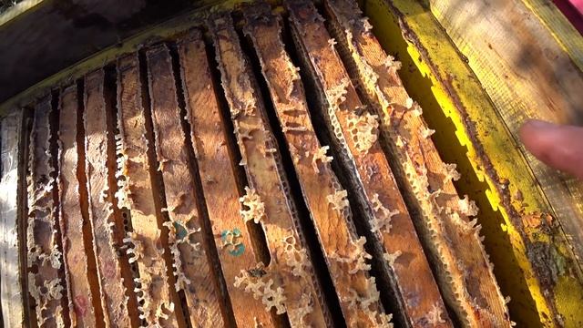 КАК ДОЛЖЕН ПРАВИЛЬНО СФОРМИРОВАН КЛУБ В ЗИМУ смотреть онлайн