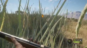 The Hunter, охота в Африке!