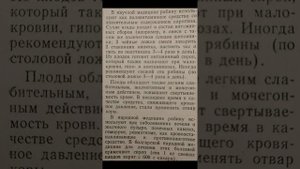 Рябина красная. Как заготовить? Для чего использовать?