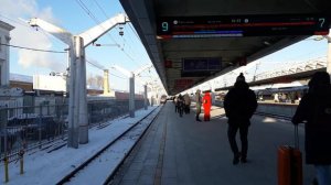 Встреча Сапсана на Ленинградском вокзале